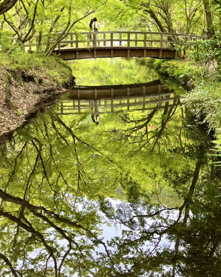 湯布院の金鱗湖