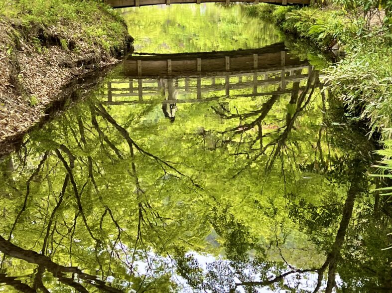 湯布院の金鱗湖