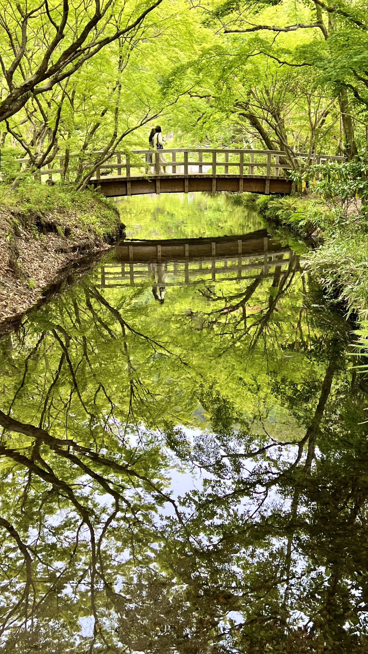 湯布院の金鱗湖