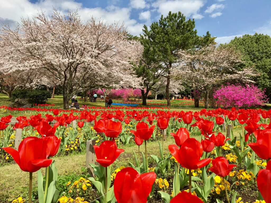 別府公園