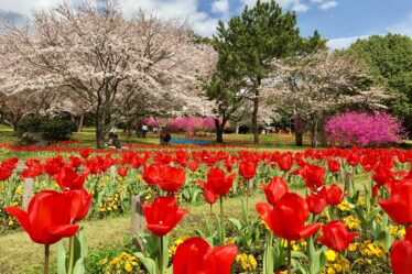 別府公園